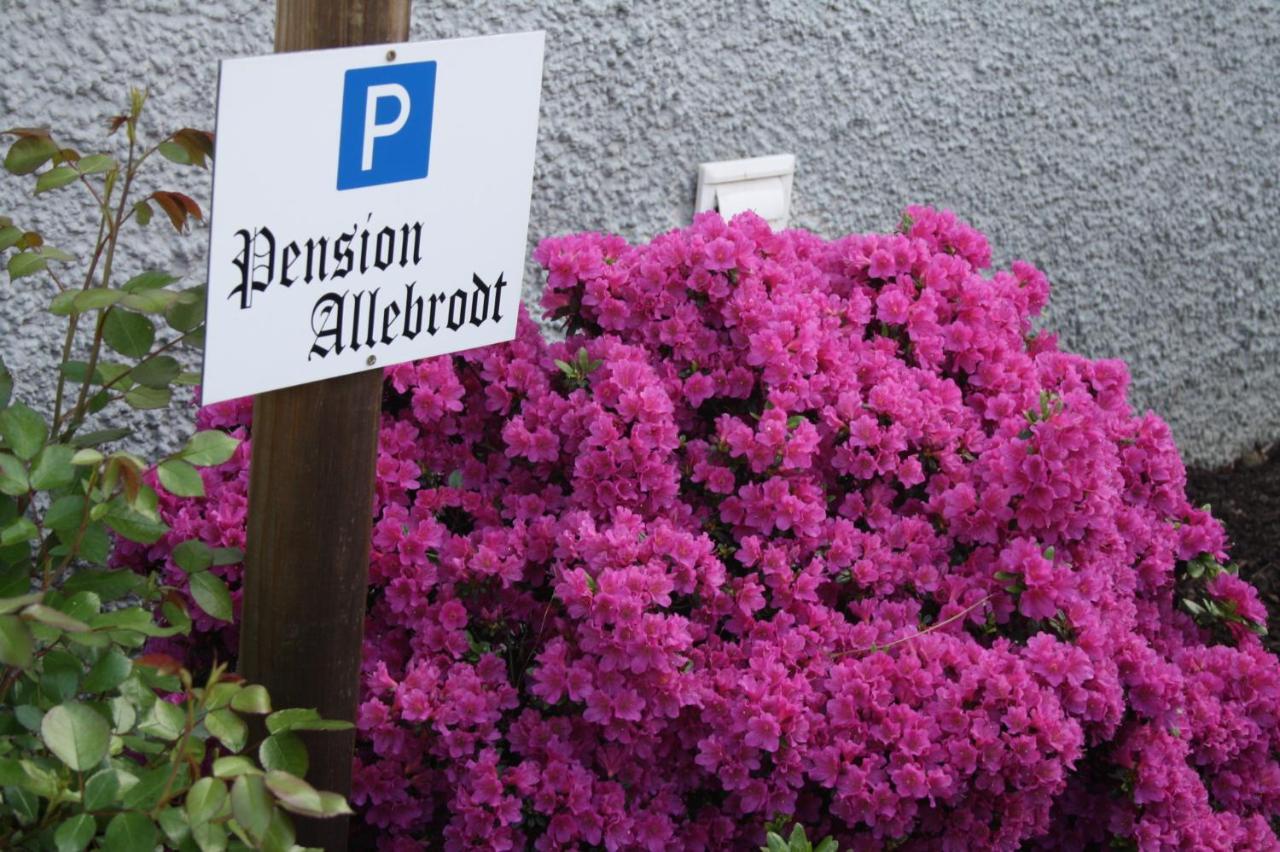 Pension / Ferienwohnung Allebrodt Lennestadt Exterior photo