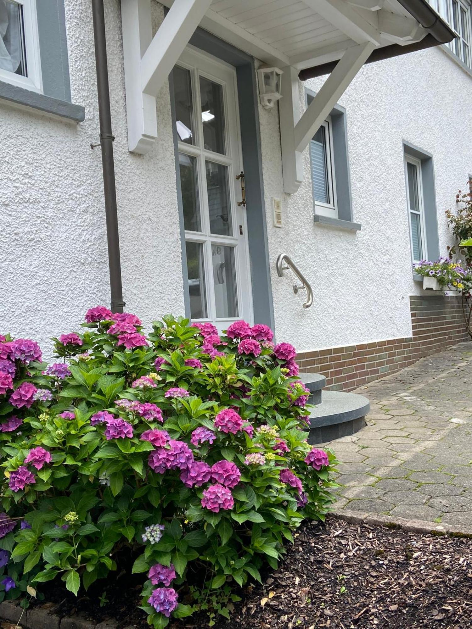 Pension / Ferienwohnung Allebrodt Lennestadt Exterior photo